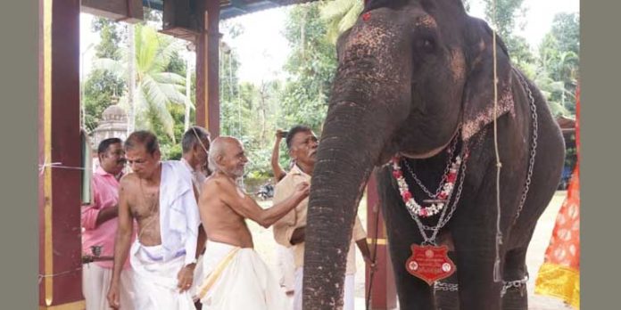 ഓതറ പുതുക്കുളങ്ങര ദേവീക്ഷേത്രത്തിലെ വിനായക ചതുർത്ഥി ആഘോഷം സമാപിച്ചു ഓതറ പുതുക്കുളങ്ങര ദേവീക്ഷേത്രത്തിലെ വിനായക ചതുർത്ഥി ആഘോഷം സമാപിച്ചു