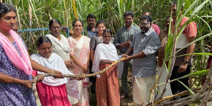 തിരിച്ചു പിടിക്കണം പന്തളത്തിന്റെ കരിമ്പ് സംസ്കൃതി : ഡെപ്യൂട്ടി സ്പീക്കര് തിരിച്ചു പിടിക്കണം പന്തളത്തിന്റെ കരിമ്പ് സംസ്കൃതി : ഡെപ്യൂട്ടി സ്പീക്കര്