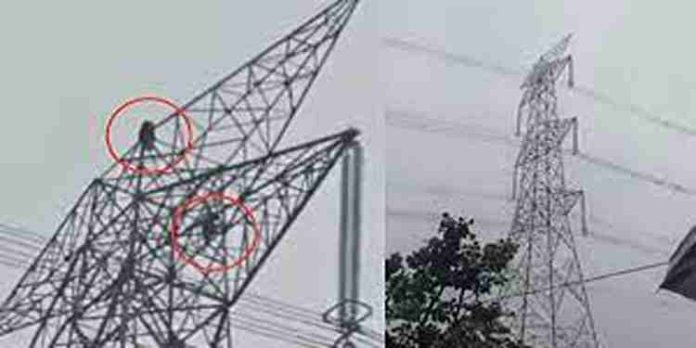 കാമുകനുമായുള്ള തർക്കത്തിന് പിന്നാലെ ഹൈ ടെന്ഷന് പവര് ലൈനിന്റെ മുകളില് കയറി കാമുകി കാമുകനുമായുള്ള തർക്കത്തിന് പിന്നാലെ ഹൈ ടെന്ഷന് പവര് ലൈനിന്റെ മുകളില് കയറി കാമുകി