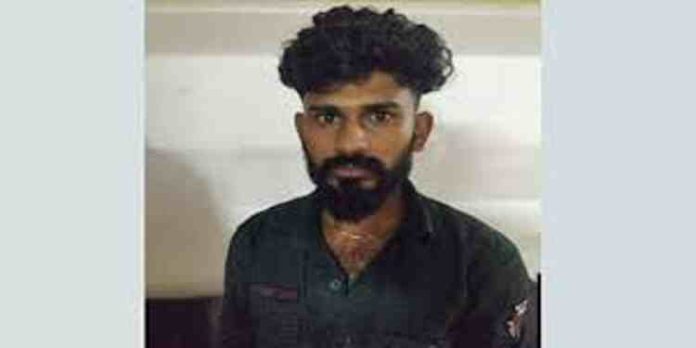മീൻ വിൽപ്പന എന്ന പേരിൽ എംഡിഎംഎ വിൽപ്പന ; യുവാവ് അറസ്റ്റിൽ മീൻ വിൽപ്പന എന്ന പേരിൽ എംഡിഎംഎ വിൽപ്പന ; യുവാവ് അറസ്റ്റിൽ