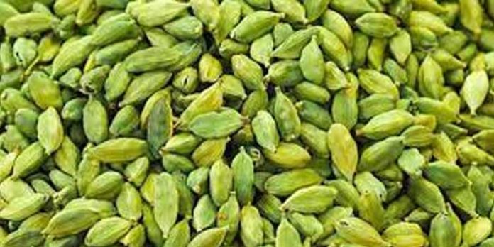 കുരുമുളകിന് പിന്നാലെ ഏലം വിലയും കുതിക്കുന്നു കുരുമുളകിന് പിന്നാലെ ഏലം വിലയും കുതിക്കുന്നു