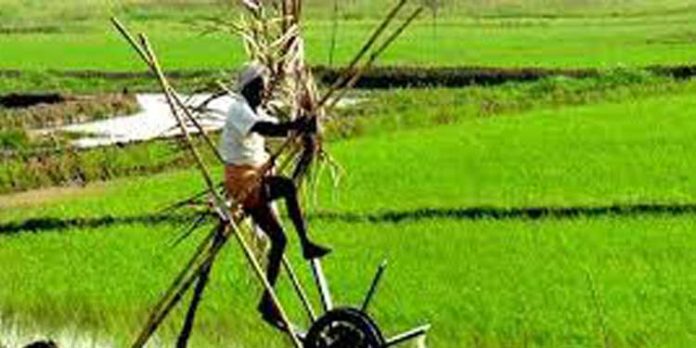മികച്ച കർഷകരെ ആദരിക്കുന്നു മികച്ച കർഷകരെ ആദരിക്കുന്നു
