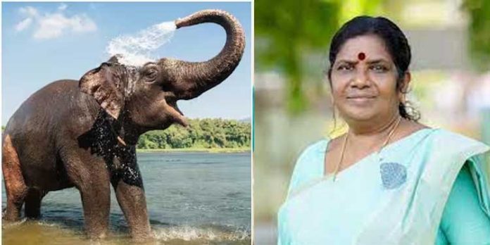 കേരളത്തിൽ ആനകൾക്ക് മൾട്ടി സ്പെഷ്യാലിറ്റി ആശുപത്രി പരിഗണനയിലെന്ന് മന്ത്രി കേരളത്തിൽ ആനകൾക്ക് മൾട്ടി സ്പെഷ്യാലിറ്റി ആശുപത്രി പരിഗണനയിലെന്ന് മന്ത്രി