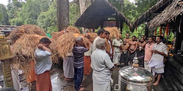 നിറപുത്തരി നെൽക്കതിർ രഥഘോക്ഷയാത്രയ്ക്ക് കല്ലേലി കാവിൽ വരവേൽപ്പ് നൽകി നിറപുത്തരി നെൽക്കതിർ രഥഘോക്ഷയാത്രയ്ക്ക് കല്ലേലി കാവിൽ വരവേൽപ്പ് നൽകി