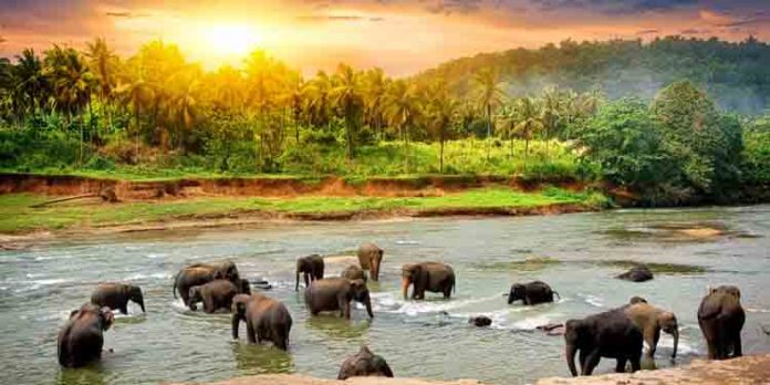 കൺമുന്നിൽ ഇടുക്കി ഡാം, കണ്ണെടുക്കാൻ തോന്നിപ്പിക്കാതെ കാൽവരി മൗണ്ട്, വ്യത്യസ്തമായ ഓണം യാത്ര കെഎസ്ആർടിസിയിൽ കൺമുന്നിൽ ഇടുക്കി ഡാം, കണ്ണെടുക്കാൻ തോന്നിപ്പിക്കാതെ കാൽവരി മൗണ്ട്, വ്യത്യസ്തമായ ഓണം യാത്ര കെഎസ്ആർടിസിയിൽ