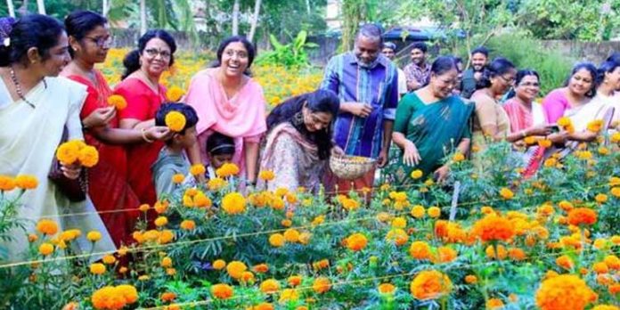 വസതിയില് നടത്തിയ പൂക്കൃഷിയില് നൂറുമേനി വിളവെടുത്ത് മന്ത്രി പി പ്രസാദ് വസതിയില് നടത്തിയ പൂക്കൃഷിയില് നൂറുമേനി വിളവെടുത്ത് മന്ത്രി പി പ്രസാദ്