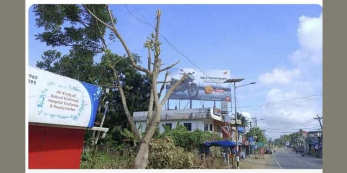 തണൽ മരങ്ങളുടെ ശിഖരങ്ങൾ സാമൂഹ്യവിരുദ്ധർ വെട്ടിമാറ്റി ; പ്രതിഷേധവുമായി തിരുവിതാംകൂർ ചാരിറ്റബിൾ സൊസൈറ്റി തണൽ മരങ്ങളുടെ ശിഖരങ്ങൾ സാമൂഹ്യവിരുദ്ധർ വെട്ടിമാറ്റി ; പ്രതിഷേധവുമായി തിരുവിതാംകൂർ ചാരിറ്റബിൾ സൊസൈറ്റി