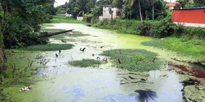 ശാപമോക്ഷം കാത്ത് മുട്ടാര് നീര്ച്ചാല് ശാപമോക്ഷം കാത്ത് മുട്ടാര് നീര്ച്ചാല്