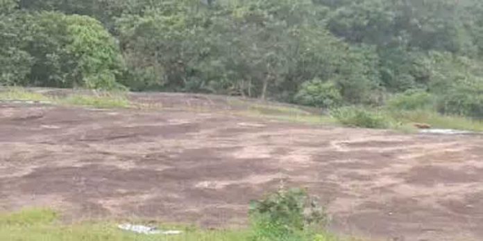 നാഗപ്പാറയിൽ പതിയിരിക്കുന്ന അപായം നാഗപ്പാറയിൽ പതിയിരിക്കുന്ന അപായം