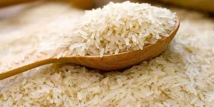 ഓണക്കാലത്ത് സ്കൂൾ കുട്ടികൾക്ക് സൗജന്യ അരി പ്രഖ്യാപിച്ച് വിദ്യാഭ്യാസ വകുപ്പ് ; വിവരങ്ങൾ ഇങ്ങനെ ഓണക്കാലത്ത് സ്കൂൾ കുട്ടികൾക്ക് സൗജന്യ അരി പ്രഖ്യാപിച്ച് വിദ്യാഭ്യാസ വകുപ്പ് ; വിവരങ്ങൾ ഇങ്ങനെ