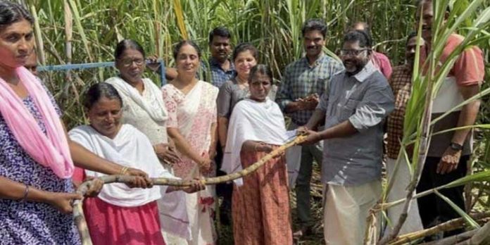 പന്തളത്തിന്റെ കരിമ്പ് സംസ്കൃതി തിരിച്ചു പിടിക്കണമെന്ന് ഡെപ്യൂട്ടി സ്പീക്കര് ചിറ്റയം ഗോപകുമാര് പന്തളത്തിന്റെ കരിമ്പ് സംസ്കൃതി തിരിച്ചു പിടിക്കണമെന്ന് ഡെപ്യൂട്ടി സ്പീക്കര് ചിറ്റയം ഗോപകുമാര്