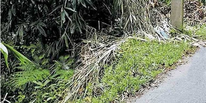 മുണ്ടോംമൂഴി – മണ്ണീറ റോഡിൽ ഈറ്റ ചപ്പാത്തിനു സമീപം തിട്ട ഇടിയുന്നു മുണ്ടോംമൂഴി – മണ്ണീറ റോഡിൽ ഈറ്റ ചപ്പാത്തിനു സമീപം തിട്ട ഇടിയുന്നു