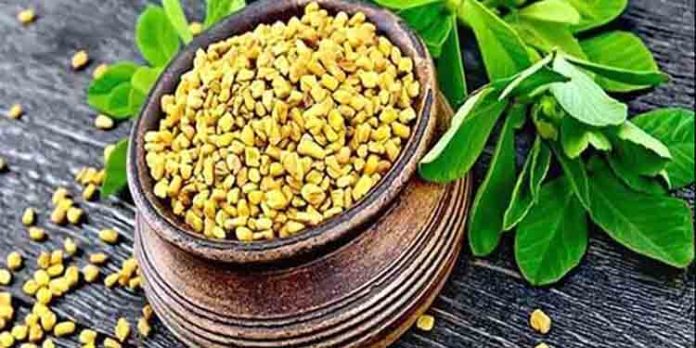 ഈ പ്രഭാത ഭക്ഷണം നിങ്ങളുടെ ആരോഗ്യത്തിന് ഏറെ നല്ലതാണ്, ശീലമാക്കൂ ഈ പ്രഭാത ഭക്ഷണം നിങ്ങളുടെ ആരോഗ്യത്തിന് ഏറെ നല്ലതാണ്, ശീലമാക്കൂ