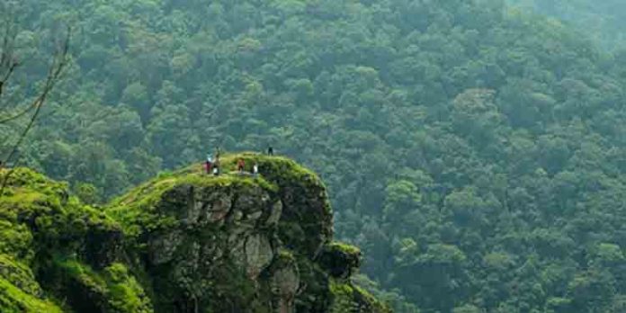 മൂന്നാർ, അതിരപ്പിള്ളി, ഗവി ; സഞ്ചാരികളുടെ പ്രിയപ്പെട്ട സ്ഥലങ്ങളിലേക്ക് കെഎസ്ആര്ടിസി യാത്ര മൂന്നാർ, അതിരപ്പിള്ളി, ഗവി ; സഞ്ചാരികളുടെ പ്രിയപ്പെട്ട സ്ഥലങ്ങളിലേക്ക് കെഎസ്ആര്ടിസി യാത്ര