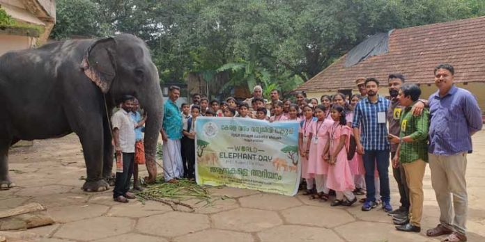ലോക ഗജദിനാചരണ പഠന ക്യാമ്പ് ; ബഥനി ഇംഗ്ലീഷ് സ്കൂൾ പങ്കെടുത്തു ലോക ഗജദിനാചരണ പഠന ക്യാമ്പ് ; ബഥനി ഇംഗ്ലീഷ് സ്കൂൾ പങ്കെടുത്തു