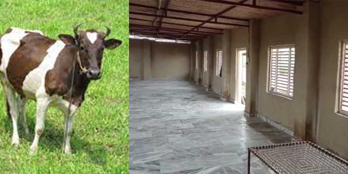 ‘പ്രകൃതിയുമായി ചേർന്ന് ജീവിക്കണം’ വീട് നിർമ്മാണത്തിൽ സിമന്റിന് പകരം ചാണകം ഉപയോഗിച്ച് യുപി സ്വദേശി ‘പ്രകൃതിയുമായി ചേർന്ന് ജീവിക്കണം’ വീട് നിർമ്മാണത്തിൽ സിമന്റിന് പകരം ചാണകം ഉപയോഗിച്ച് യുപി സ്വദേശി