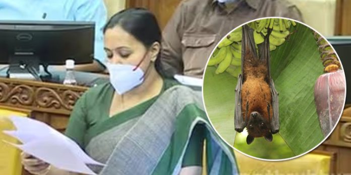 കോഴിക്കോട് ജില്ലയിൽ എല്ലാവരും മാസ്ക് ധരിക്കണം, വവ്വാലിന്റെ സാന്നിധ്യമുളള സ്ഥലങ്ങളിലെ തെങ്ങ്, പന എന്നിവയിലെ പാനീയമോ ഫലങ്ങളോ ഉപയോഗിക്കരുത് ; മന്ത്രി വീണാ ജോർജ്ജ് കോഴിക്കോട് ജില്ലയിൽ എല്ലാവരും മാസ്ക് ധരിക്കണം, വവ്വാലിന്റെ സാന്നിധ്യമുളള സ്ഥലങ്ങളിലെ തെങ്ങ്, പന എന്നിവയിലെ പാനീയമോ ഫലങ്ങളോ ഉപയോഗിക്കരുത് ; മന്ത്രി വീണാ ജോർജ്ജ്