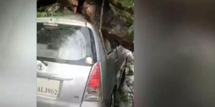 കോഴിക്കോട് ഓടിക്കൊണ്ടിരുന്ന കാറിനു മുകളിലേക്ക് മരം വീണു കോഴിക്കോട് ഓടിക്കൊണ്ടിരുന്ന കാറിനു മുകളിലേക്ക് മരം വീണു