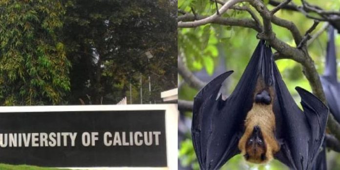 നിപ : കണ്ടെയ്ൻമെന്റ് സോണിലെ പരീക്ഷകള് മാറ്റി കാലിക്കറ്റ് സര്വകലാശാല നിപ : കണ്ടെയ്ൻമെന്റ് സോണിലെ പരീക്ഷകള് മാറ്റി കാലിക്കറ്റ് സര്വകലാശാല