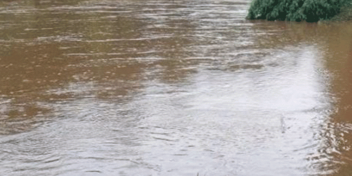 അച്ചൻകോവിൽ നദീതീരങ്ങളിൽ വസിക്കുന്നവർ സുരക്ഷിതമായ ഇടങ്ങളിലേക്ക് മാറി താമസിക്കണം ; ജില്ലാ കളക്ടര് അച്ചൻകോവിൽ നദീതീരങ്ങളിൽ വസിക്കുന്നവർ സുരക്ഷിതമായ ഇടങ്ങളിലേക്ക് മാറി താമസിക്കണം ; ജില്ലാ കളക്ടര്