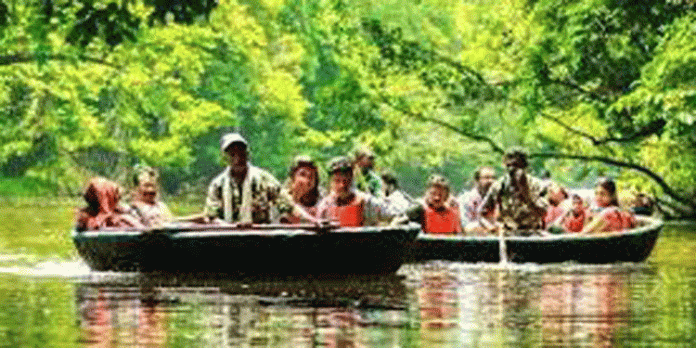 കുട്ടവഞ്ചി സവാരിയിൽ പങ്കെടുക്കാൻ ദിവസവും എത്തുന്ന സഞ്ചാരികളുടെ എണ്ണത്തിൽ വർധന കുട്ടവഞ്ചി സവാരിയിൽ പങ്കെടുക്കാൻ ദിവസവും എത്തുന്ന സഞ്ചാരികളുടെ എണ്ണത്തിൽ വർധന