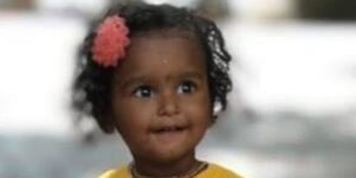 മുതലമടയിൽ റോഡരികിലെ മതിലിടിഞ്ഞ് വീണ് ഒന്നര വയസുകാരൻ മരിച്ചു മുതലമടയിൽ റോഡരികിലെ മതിലിടിഞ്ഞ് വീണ് ഒന്നര വയസുകാരൻ മരിച്ചു