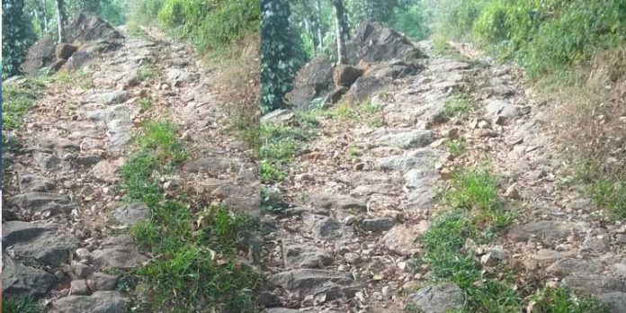വികസനം സ്വപ്നങ്ങളില് മാത്രമൊതുങ്ങി പൂച്ചക്കുളം വികസനം സ്വപ്നങ്ങളില് മാത്രമൊതുങ്ങി പൂച്ചക്കുളം