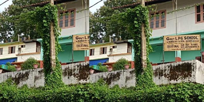 കാടുമൂടി വൈദ്യുതി ലൈൻ ; അപകടഭീതി കാടുമൂടി വൈദ്യുതി ലൈൻ ; അപകടഭീതി