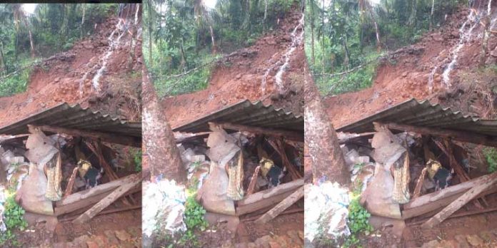 കനത്ത മഴയിൽ കോന്നിയിൽ വ്യാപക നാശനഷ്ടം കനത്ത മഴയിൽ കോന്നിയിൽ വ്യാപക നാശനഷ്ടം
