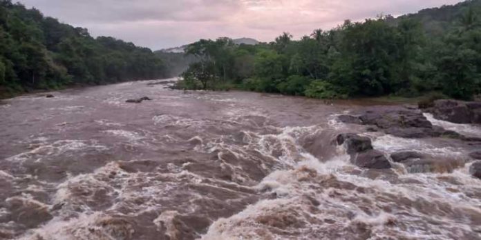 കടുത്തചൂടിൽനിന്ന് ആശ്വാസമായി മഴയെത്തി ; മെലിഞ്ഞ് ഒഴുകിയ പമ്പാനദി ഇരുട്ടിവെളുത്തപ്പോള് നിറഞ്ഞൊഴുകി കടുത്തചൂടിൽനിന്ന് ആശ്വാസമായി മഴയെത്തി ; മെലിഞ്ഞ് ഒഴുകിയ പമ്പാനദി ഇരുട്ടിവെളുത്തപ്പോള് നിറഞ്ഞൊഴുകി