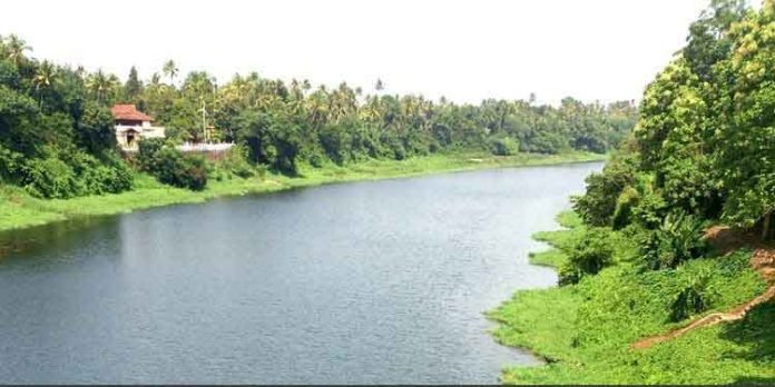 ഏഴായി പിരിഞ്ഞ് ഒന്നായി ഒഴുകുന്ന പുഴ ; കാണാം ഏഴാറ്റുമുഖം പ്രകൃതിഗ്രാമം ഏഴായി പിരിഞ്ഞ് ഒന്നായി ഒഴുകുന്ന പുഴ ; കാണാം ഏഴാറ്റുമുഖം പ്രകൃതിഗ്രാമം