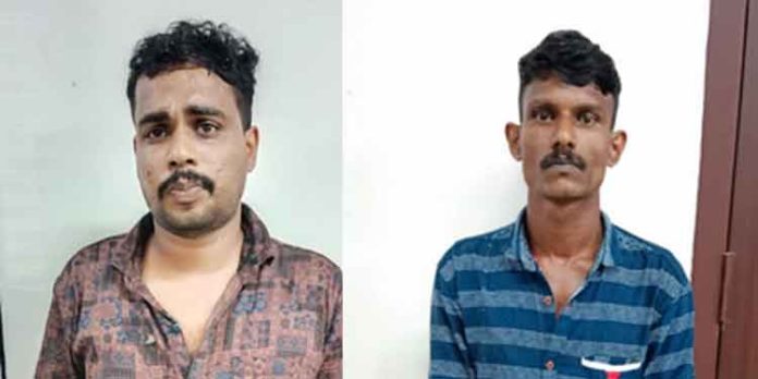 30 കിലോ കഞ്ചാവുമായി പത്തനംതിട്ട സ്വദേശികളെ പാലക്കാട് അറസ്റ്റ് ചെയ്തു 30 കിലോ കഞ്ചാവുമായി പത്തനംതിട്ട സ്വദേശികളെ പാലക്കാട് അറസ്റ്റ് ചെയ്തു