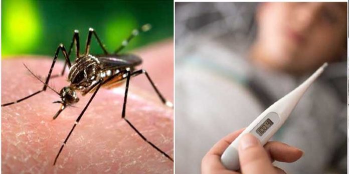 ഡെങ്കിപ്പനി – പത്തനംതിട്ട ജില്ലയില് 14 ഹോട്സ്പോട്ടുകള് ഡെങ്കിപ്പനി – പത്തനംതിട്ട ജില്ലയില് 14 ഹോട്സ്പോട്ടുകള്