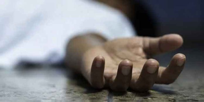 ഇരുചക്രവാഹനം നിയന്ത്രണം വിട്ട് മറിഞ്ഞു ; മലപ്പുറത്ത് കോളേജ് അധ്യാപകൻ മരിച്ചു ഇരുചക്രവാഹനം നിയന്ത്രണം വിട്ട് മറിഞ്ഞു ; മലപ്പുറത്ത് കോളേജ് അധ്യാപകൻ മരിച്ചു