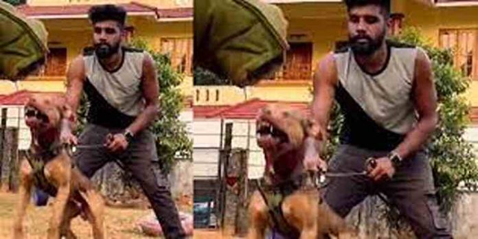 നായ്ക്കളുടെ കാവലിൽ കഞ്ചാവ് വിൽപ്പന: പ്രതി റോബിൻ പിടിയിൽ നായ്ക്കളുടെ കാവലിൽ കഞ്ചാവ് വിൽപ്പന: പ്രതി റോബിൻ പിടിയിൽ