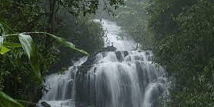 മഴ ; ഗവിയിലേക്കുള്ള സഞ്ചാരികളുടെ പ്രവേശനത്തിന് നിയന്ത്രണം തുടരുന്നു മഴ ; ഗവിയിലേക്കുള്ള സഞ്ചാരികളുടെ പ്രവേശനത്തിന് നിയന്ത്രണം തുടരുന്നു
