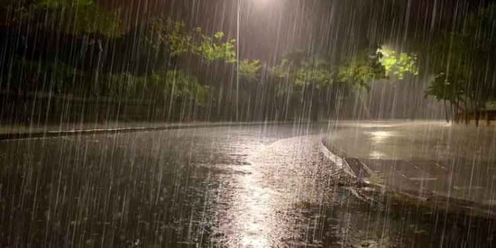 മഴ തുടരും ; സംസ്ഥാനത്ത് ഇന്ന് രണ്ട് ജില്ലകളിൽ യെല്ലോ അലർട്ട് പ്രഖ്യാപിച്ചു മഴ തുടരും ; സംസ്ഥാനത്ത് ഇന്ന് രണ്ട് ജില്ലകളിൽ യെല്ലോ അലർട്ട് പ്രഖ്യാപിച്ചു