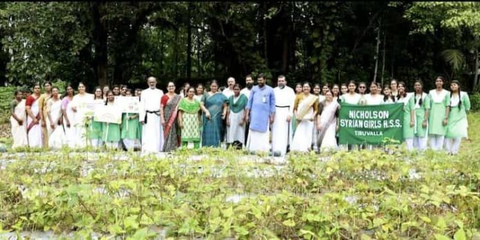തണ്ണിമത്തന് കൃഷിയില് നൂറുമേനിവിളയിച്ച് തിരുവല്ല നിക്കോള്സണ് സ്കൂള് തണ്ണിമത്തന് കൃഷിയില് നൂറുമേനിവിളയിച്ച് തിരുവല്ല നിക്കോള്സണ് സ്കൂള്