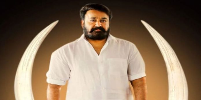 ആനക്കൊമ്പ് കേസ് : മോഹന്ലാലിനെതിരായ വിചാരണയ്ക്ക് സ്റ്റേ ആനക്കൊമ്പ് കേസ് : മോഹന്ലാലിനെതിരായ വിചാരണയ്ക്ക് സ്റ്റേ