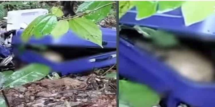 ട്രോളി ബാഗിനുള്ളില് കണ്ടെത്തിയത് 19കാരിയുടെ മൃതദേഹമെന്ന് നിഗമനം ട്രോളി ബാഗിനുള്ളില് കണ്ടെത്തിയത് 19കാരിയുടെ മൃതദേഹമെന്ന് നിഗമനം