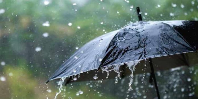 പുതിയ ന്യൂനമർദ്ദം രൂപപ്പെട്ടു ; സംസ്ഥാനത്ത് മഴ തുടരും, യെല്ലോ അലർട്ട് 2 ജില്ലകളിൽ പുതിയ ന്യൂനമർദ്ദം രൂപപ്പെട്ടു ; സംസ്ഥാനത്ത് മഴ തുടരും, യെല്ലോ അലർട്ട് 2 ജില്ലകളിൽ