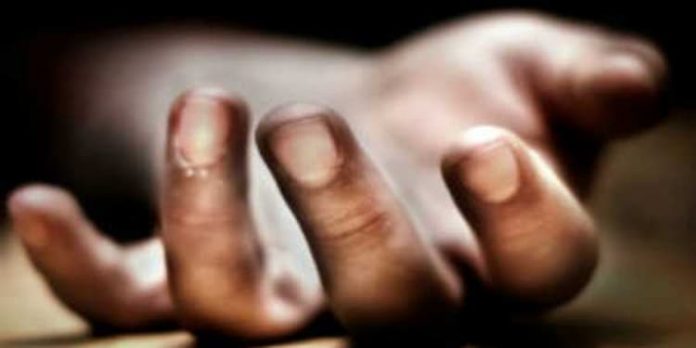 കെഎസ്ഇബി ജീവനക്കാരന് ലോഡ്ജില് മരിച്ച നിലയില് ; മൃതദേഹത്തിന് അഞ്ച് ദിവസത്തെ പഴക്കം കെഎസ്ഇബി ജീവനക്കാരന് ലോഡ്ജില് മരിച്ച നിലയില് ; മൃതദേഹത്തിന് അഞ്ച് ദിവസത്തെ പഴക്കം