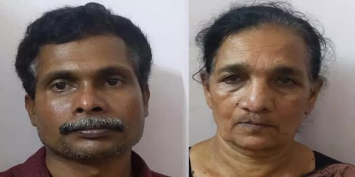 പതിനൊന്നര പവൻ മോഷ്ടിച്ച് പകരം മുക്കുപണ്ടം വെച്ചു ; ഹോംനഴ്സും മകനും അറസ്റ്റിൽ പതിനൊന്നര പവൻ മോഷ്ടിച്ച് പകരം മുക്കുപണ്ടം വെച്ചു ; ഹോംനഴ്സും മകനും അറസ്റ്റിൽ