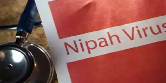 നിപ പ്രതിരോധം : മാനസിക പിന്തുണയുമായി ടെലി മനസ് നിപ പ്രതിരോധം : മാനസിക പിന്തുണയുമായി ടെലി മനസ്