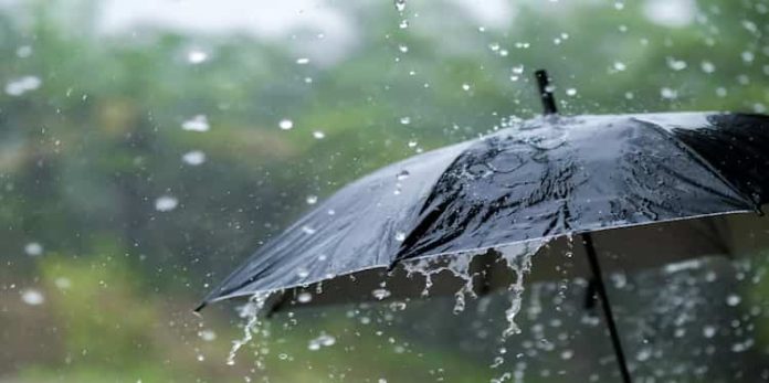 സംസ്ഥാനത്ത് വ്യാപക മഴയ്ക്ക് സാധ്യത : 11 ജില്ലകളിൽ യെല്ലോ അലർട്ട്, സംസ്ഥാനത്ത് വ്യാപക മഴയ്ക്ക് സാധ്യത : 11 ജില്ലകളിൽ യെല്ലോ അലർട്ട്,