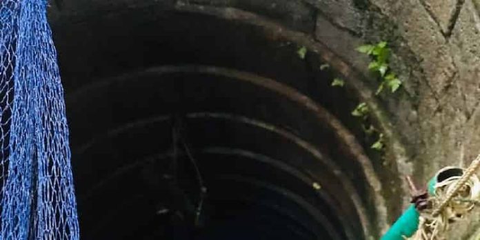 കാസർകോട് അമ്മയും മകളും കിണറ്റിൽ മരിച്ച നിലയിൽ കാസർകോട് അമ്മയും മകളും കിണറ്റിൽ മരിച്ച നിലയിൽ
