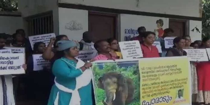 അരിക്കൊമ്പനെ തിരികെ എത്തിക്കണം ; ഇടുക്കി കളക്ട്രേറ്റിനു മുന്നിൽ ഒത്തുകൂടി അരിക്കൊമ്പൻ ഫാൻസ് അരിക്കൊമ്പനെ തിരികെ എത്തിക്കണം ; ഇടുക്കി കളക്ട്രേറ്റിനു മുന്നിൽ ഒത്തുകൂടി അരിക്കൊമ്പൻ ഫാൻസ്