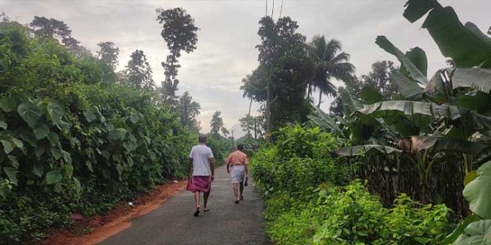 കാട് മൂടിയ റോഡ് വഴിയാത്രക്കാർക്ക് ഭീഷണിയാകുന്നു കാട് മൂടിയ റോഡ് വഴിയാത്രക്കാർക്ക് ഭീഷണിയാകുന്നു