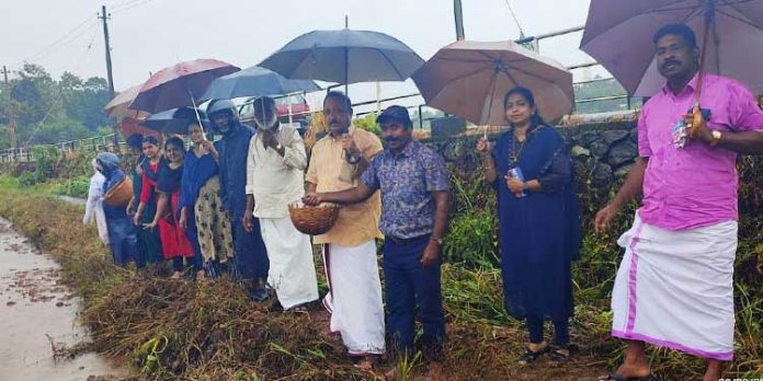തരിശ് നെല്കൃഷിയുടെ വിത്ത് വിതയ്ക്കല് ഉദ്ഘാടനം നടത്തി തരിശ് നെല്കൃഷിയുടെ വിത്ത് വിതയ്ക്കല് ഉദ്ഘാടനം നടത്തി