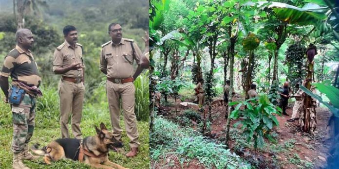 മൺപിലാവിൽ കാട്ടാന ചരിഞ്ഞ സംഭവം : വനംവകുപ്പ് തെരച്ചിൽ നടത്തി മൺപിലാവിൽ കാട്ടാന ചരിഞ്ഞ സംഭവം : വനംവകുപ്പ് തെരച്ചിൽ നടത്തി